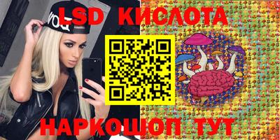 шишки Камень-на-Оби