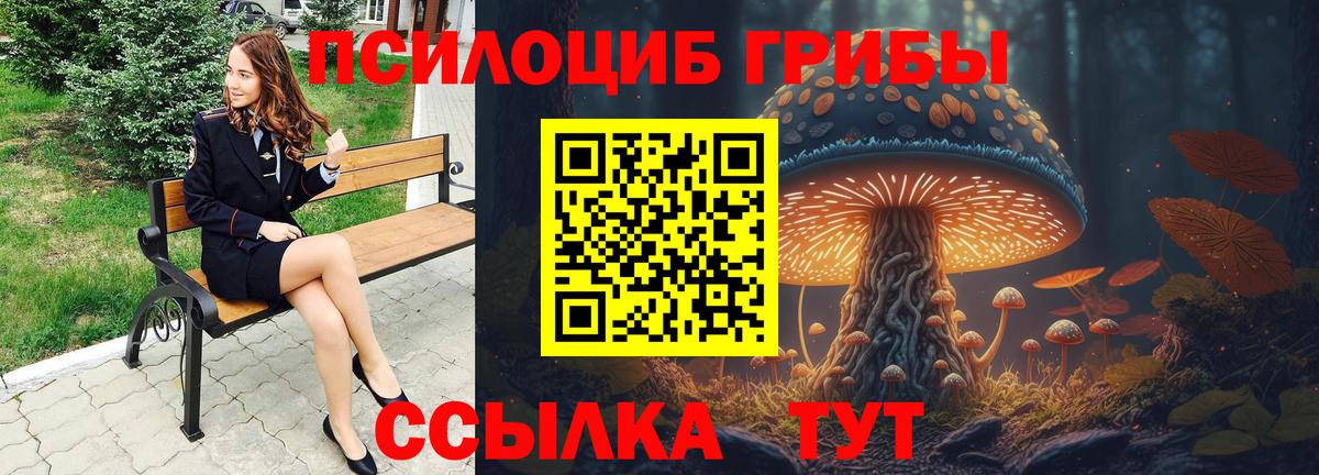 Псилоцибиновые грибы ЛСД  закладки  Карачаевск  Вход с VPN  Галлюциногенные грибы MAGIC MUSHROOMS 