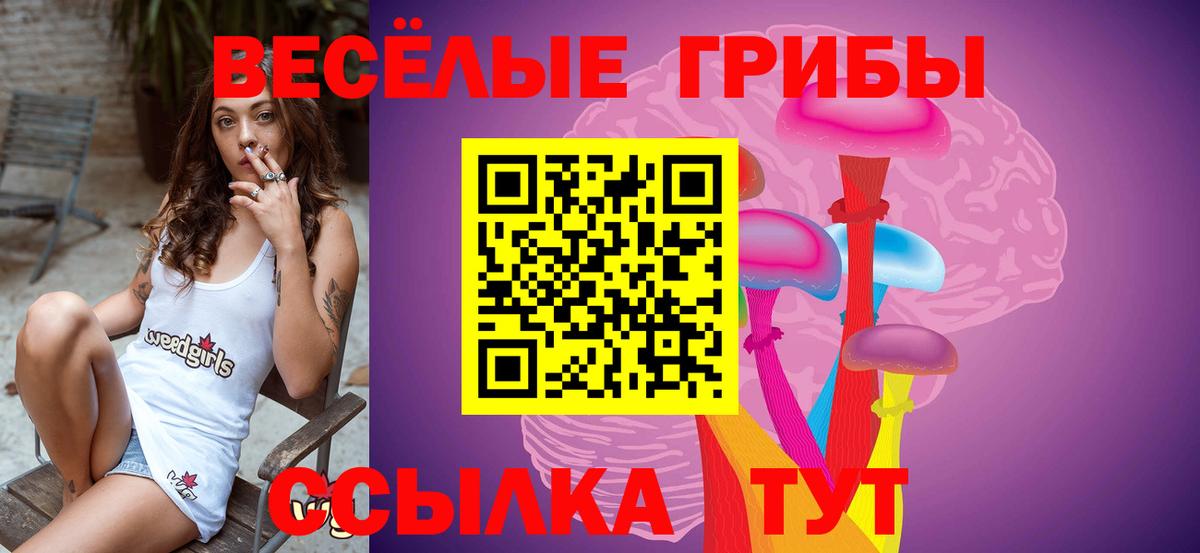 Галлюциногенные грибы Magic Shrooms Карачаевск